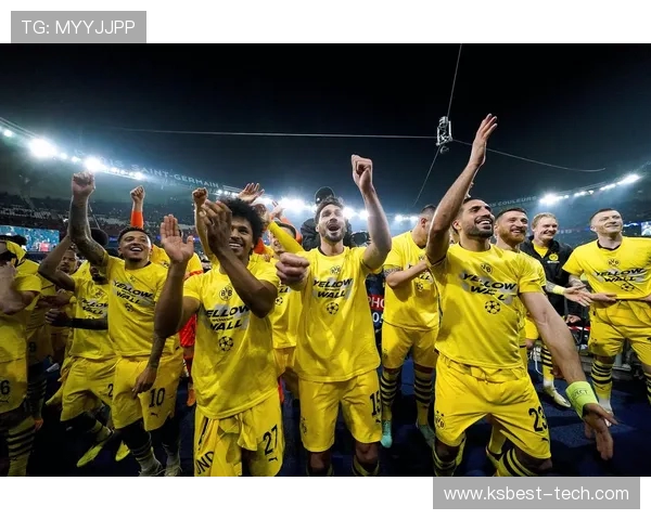 多特蒙德城市魅力与足球精神交织的文化与经济发展探索 多特蒙德城市魅力与足球精神交织的文化与经济发展探索