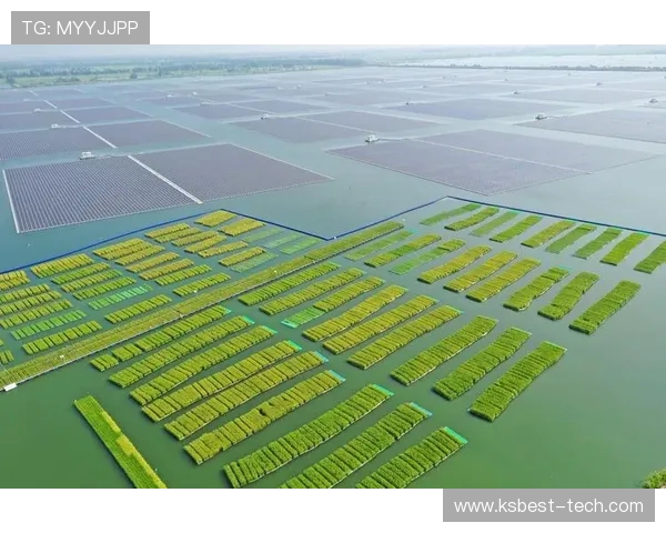 天津先行者引领区域协同发展打造创新驱动高质量发展新格局