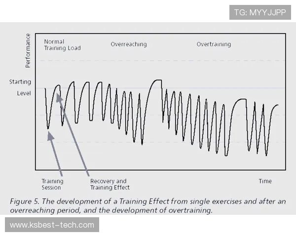 健身初心者必看:如何制定科学高效的健身计划从基础到进阶全攻略