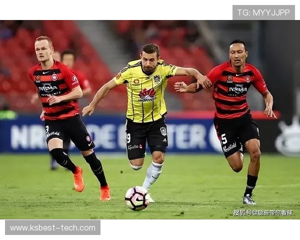 布里班狮吼与凤凰的激烈对决揭示澳超联赛的精彩与悬念